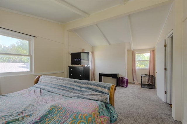5613 N Garfield Ave, Gladstone, MO 64118 - photo 13