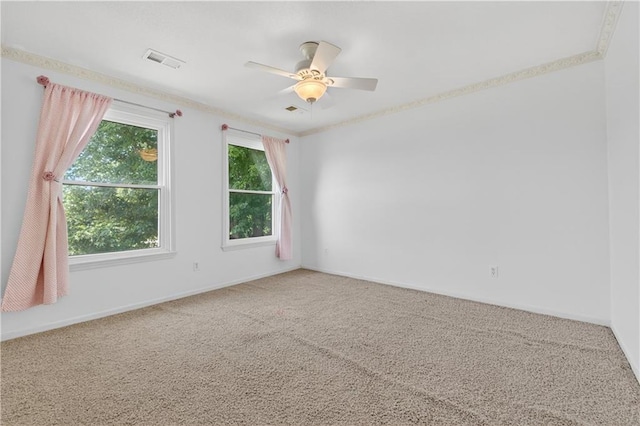 9325 Noland Rd, Kansas City, MO 64138 - photo 30