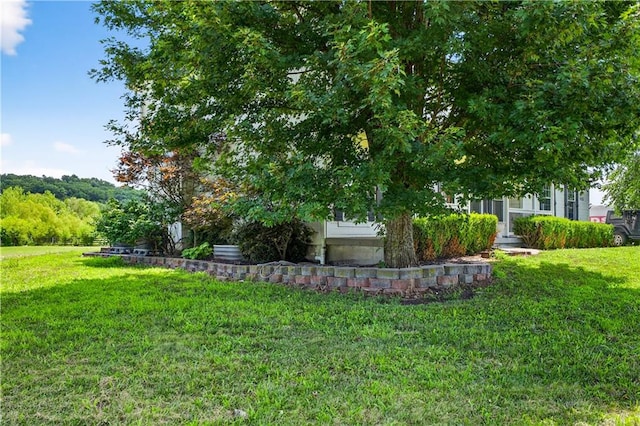 9325 Noland Rd, Kansas City, MO 64138 - photo 53