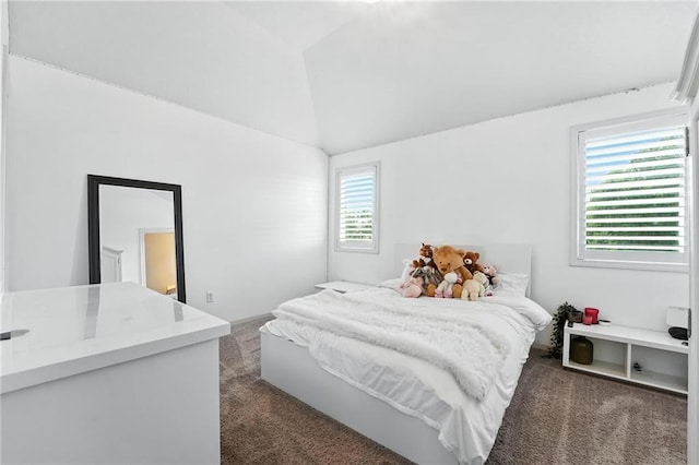 16406 S Loiret St, Olathe, KS 66062 - photo 33
