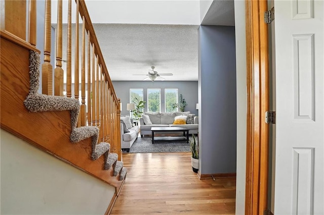 818 N Maple St, Gardner, KS 66030 - photo 3