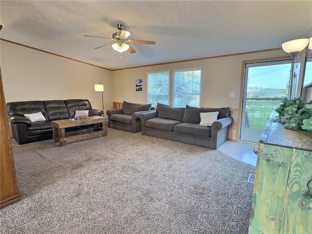 8565 SW 1301st Rd, El Dorado Springs, MO 64744 - photo 45