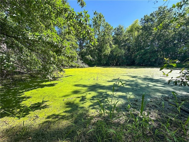 1150 700th Rd, Holden, MO 64040 - photo 47