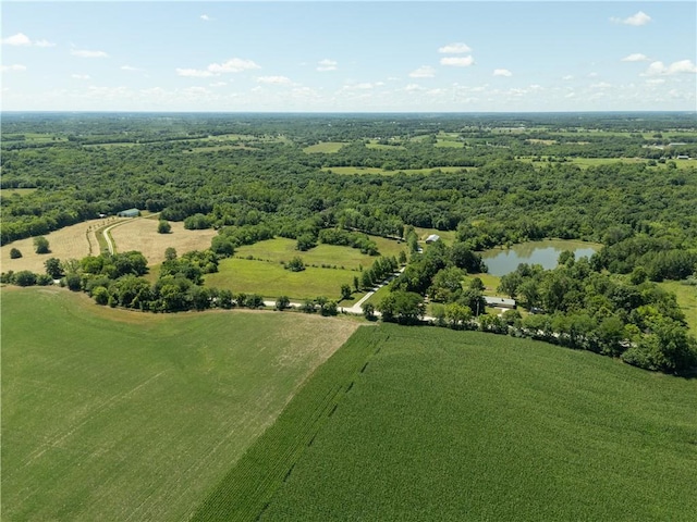 1150 700th Rd, Holden, MO 64040 - photo 48