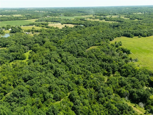 1150 700th Rd, Holden, MO 64040 - photo 49