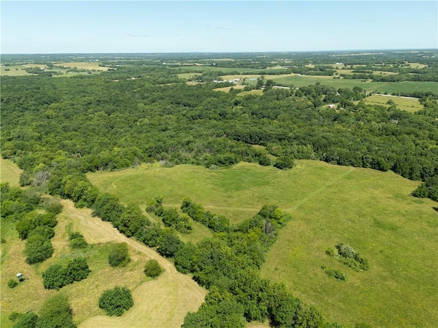 1150 700th Rd, Holden, MO 64040 - photo 51
