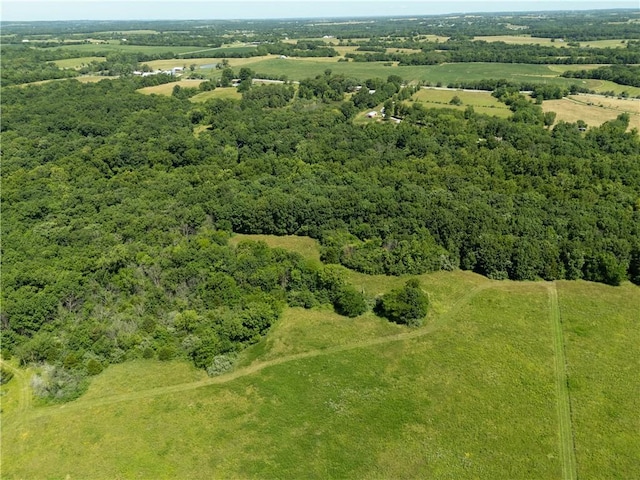 1150 700th Rd, Holden, MO 64040 - photo 53