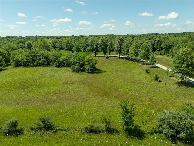 1150 700th Rd, Holden, MO 64040 - photo 54