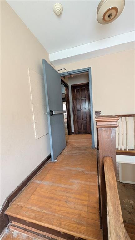 10118 E Lexington Ave, Independence, MO 64053 - photo 31