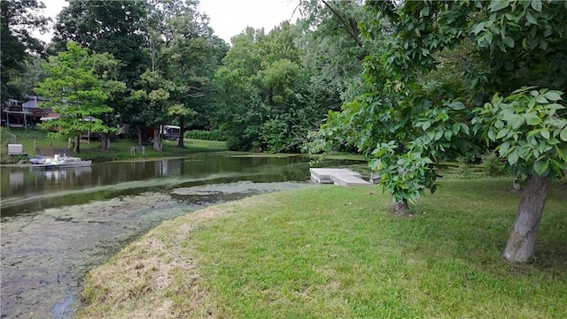 8790 SW Lake Dr, Lathrop, MO 64465 - photo 6