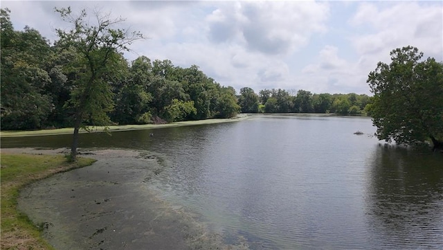 8790 SW Lake Dr, Lathrop, MO 64465 - photo 8
