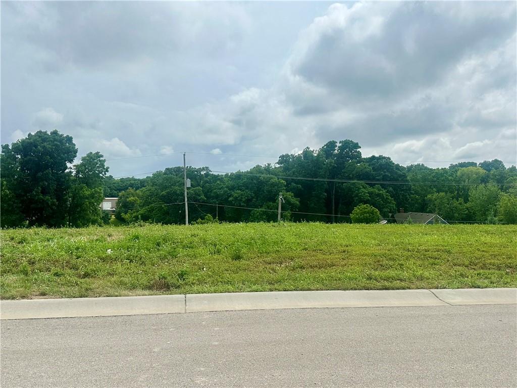 13835 NW 70th St, Parkville, MO 64152 - photo 1