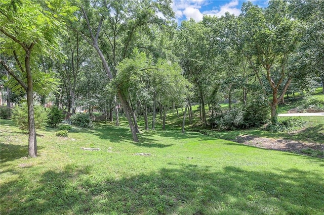13000 E 58th St, Kansas City, MO 64133 - photo 4
