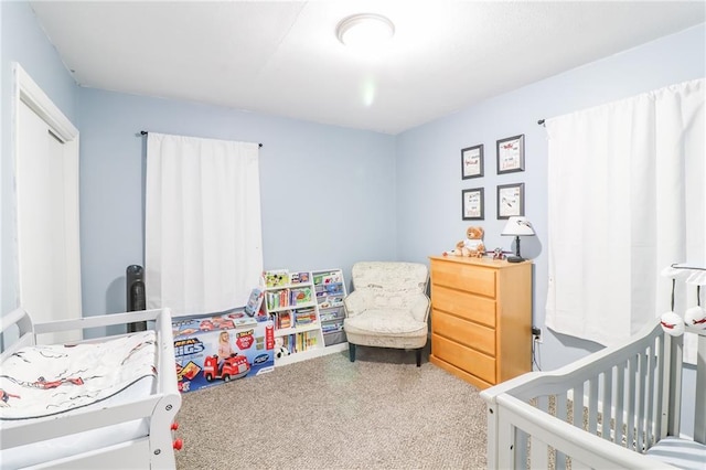 1007 Vest Dr, Warrensburg, MO 64093 - photo 14