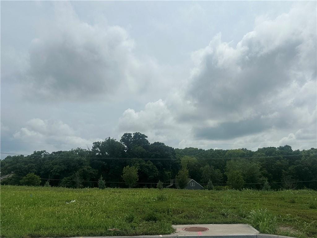 13855 NW 70th St, Parkville, MO 64152 - photo 1