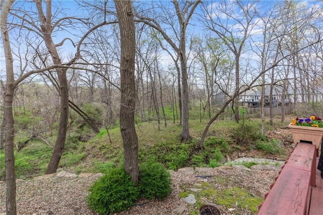 808 S Mohican Dr, Independence, MO 64056 - photo 31