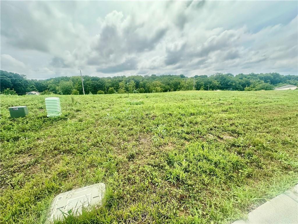 13935 NW 70th St, Parkville, MO 64152 - photo 1