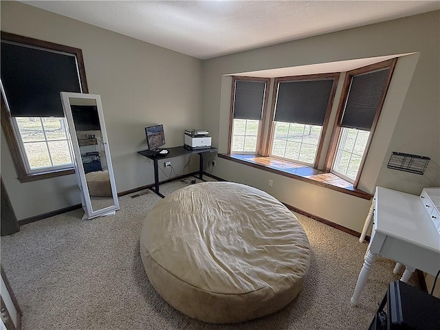 501 Arnold St, Creighton, MO 64739 - photo 14