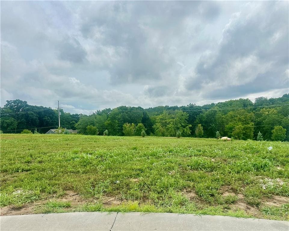 13930 NW 70th St, Parkville, MO 64152 - photo 1