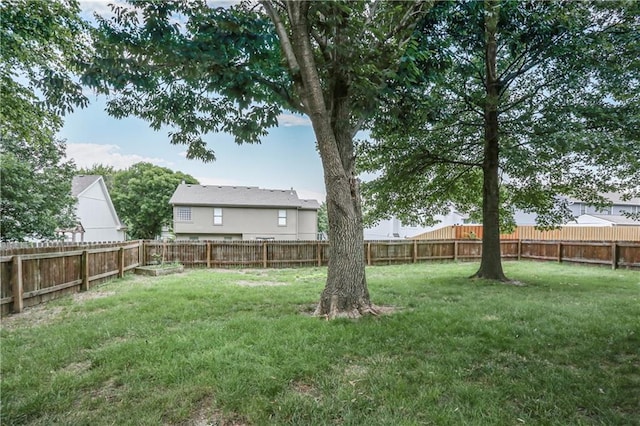 7312 N Manchester Ave, Kansas City, MO 64158 - photo 23