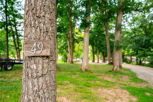 LOT49 Lake Viking Ter, Gallatin, MO 64640 - photo 11