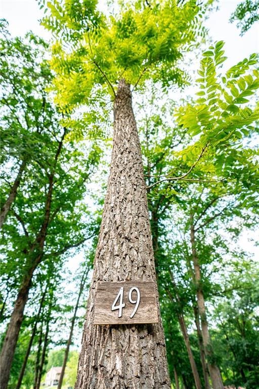 LOT49 Lake Viking Ter, Gallatin, MO 64640 - photo 12