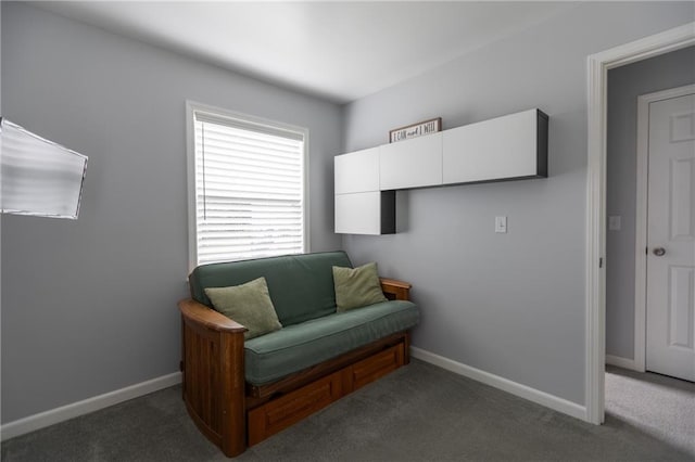 4801 Locust Ave, Kansas City, KS 66106 - photo 23
