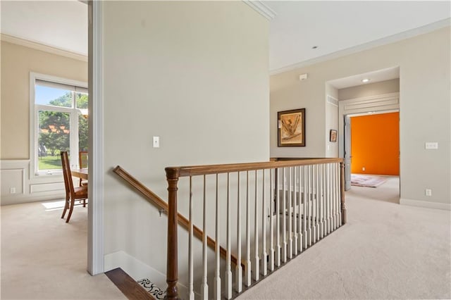 205 NE Bittercreek Rd, Lees Summit, MO 64086 - photo 22