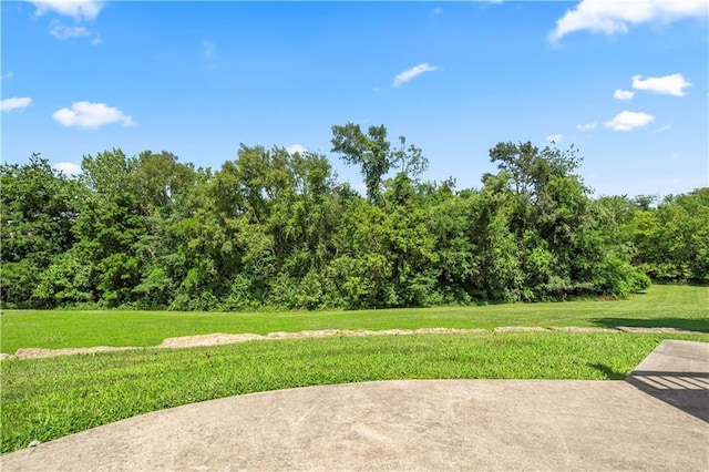 205 NE Bittercreek Rd, Lees Summit, MO 64086 - photo 51