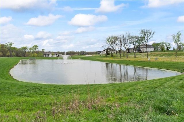 17540 Manor St, Overland Park, KS 66085 - photo 67