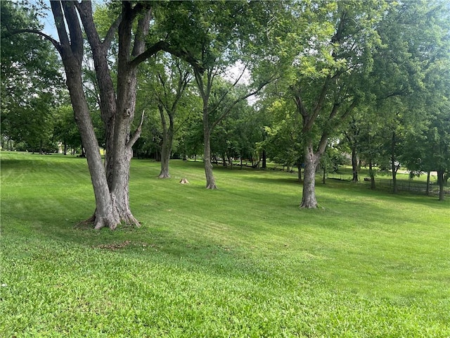 2501 S R D Mize Rd, Independence, MO 64057 - photo 3