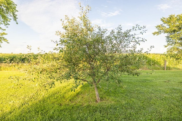 10791 NE State Route D Hwy, Butler, MO 64730 - photo 66