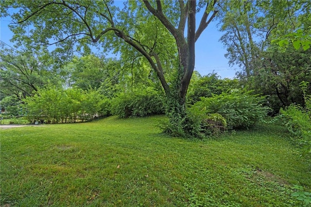 9001 Jarboe St, Kansas City, MO 64114 - photo 36