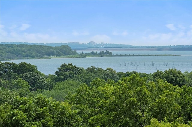 1034 E 450th Rd, Lawrence, KS 66047 - photo 61