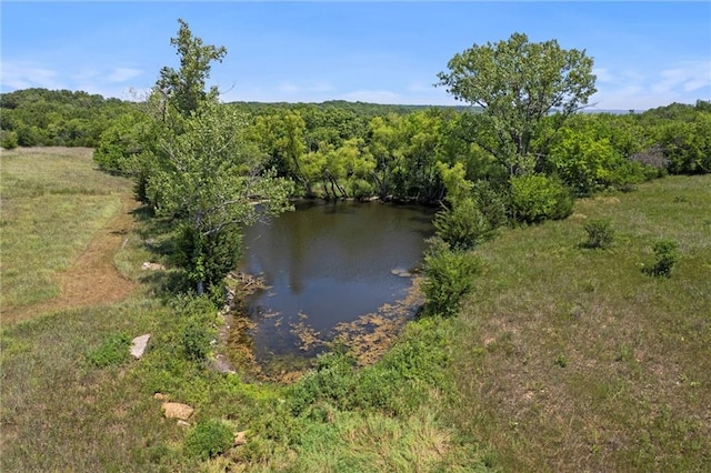 1034 E 450th Rd, Lawrence, KS 66047 - photo 65