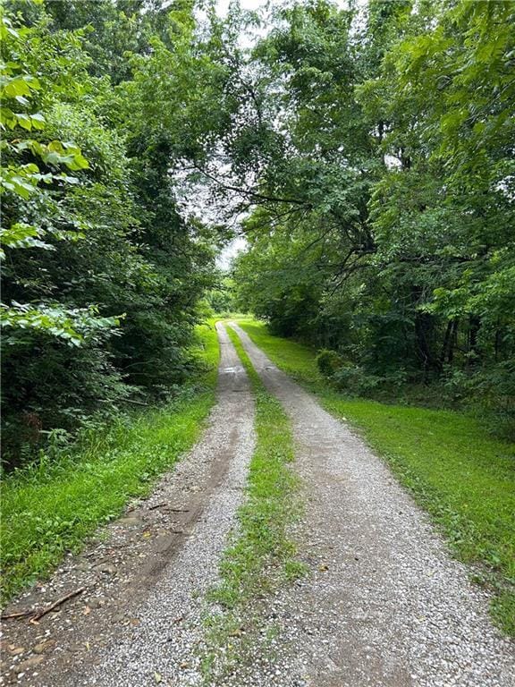 10559 E Victory Rd, Bronaugh, MO 64728 - photo 7