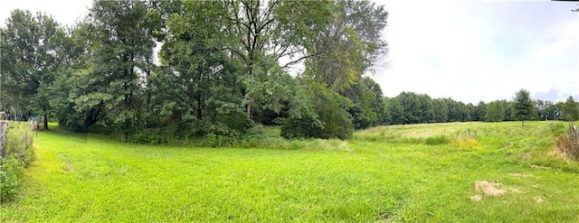 10559 E Victory Rd, Bronaugh, MO 64728 - photo 46