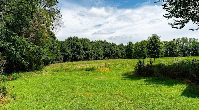 10559 E Victory Rd, Bronaugh, MO 64728 - photo 53