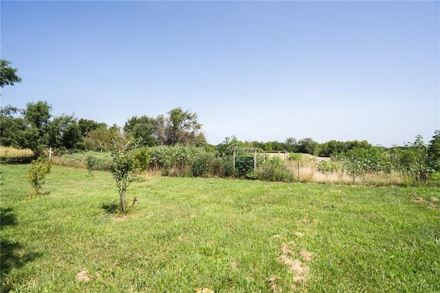 29873 NE Scott Rd, Greeley, KS 66033 - photo 40