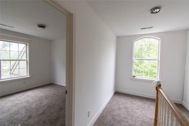121 Hillside Dr, Baldwin City, KS 66006 - photo 22