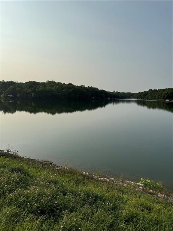 50 NE Lakeside Dr, Lacygne, KS 66040 - photo 1
