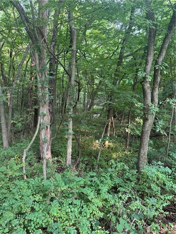 50 NE Lakeside Dr, Lacygne, KS 66040 - photo 9