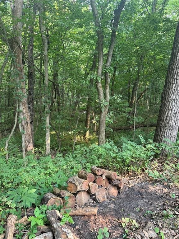 50 NE Lakeside Dr, Lacygne, KS 66040 - photo 10