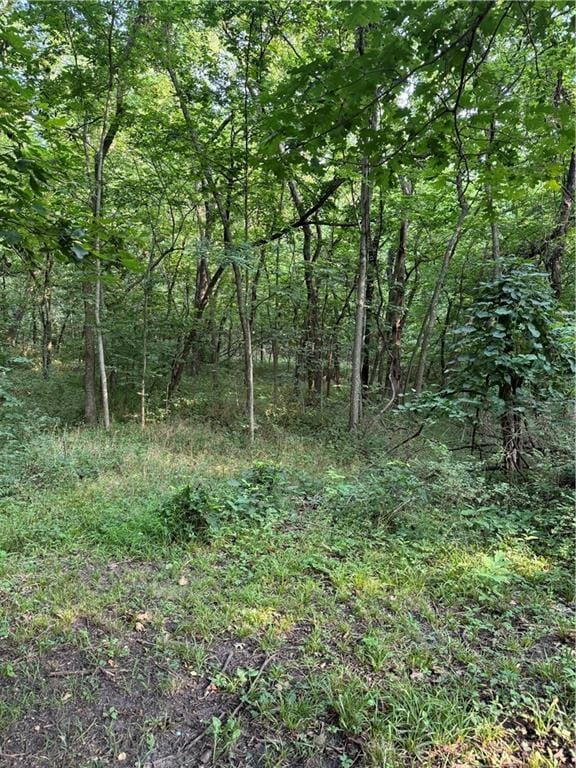 50 NE Lakeside Dr, Lacygne, KS 66040 - photo 33