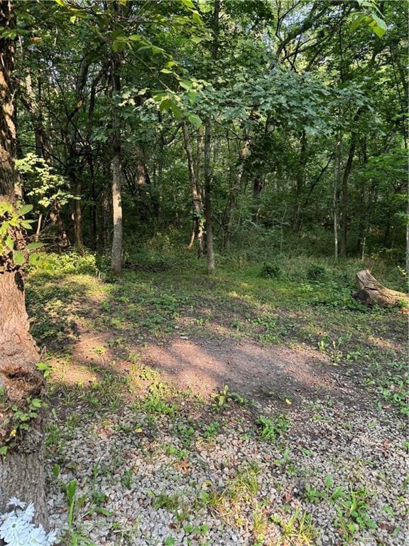 50 NE Lakeside Dr, Lacygne, KS 66040 - photo 35