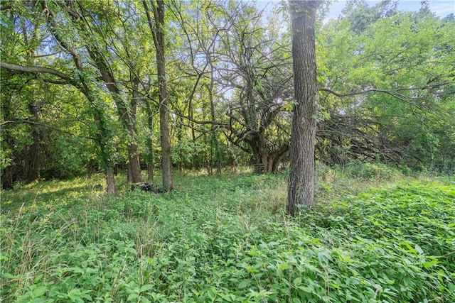24104 Xavier Rd, Mccune, KS 66753 - photo 60