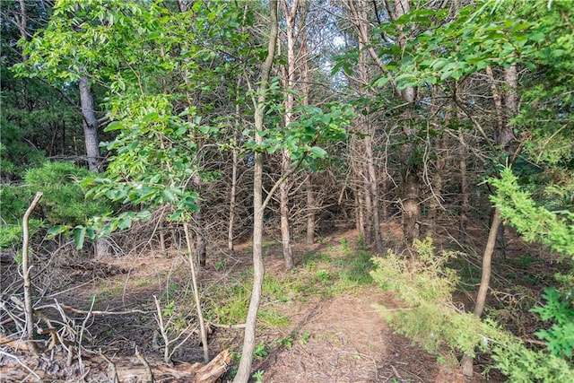 24104 Xavier Rd, Mccune, KS 66753 - photo 81