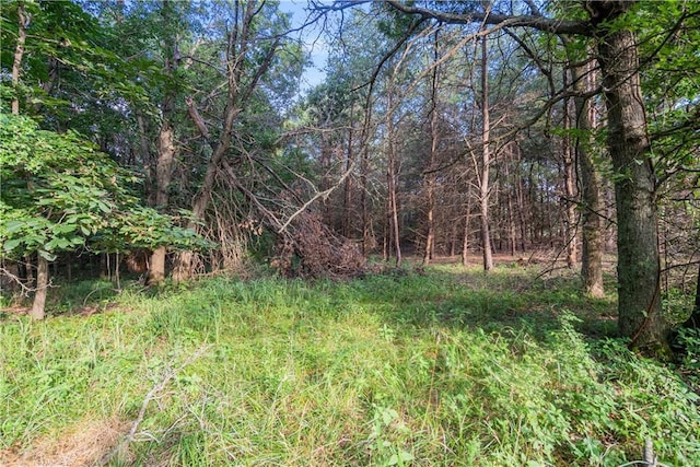 24104 Xavier Rd, Mccune, KS 66753 - photo 83
