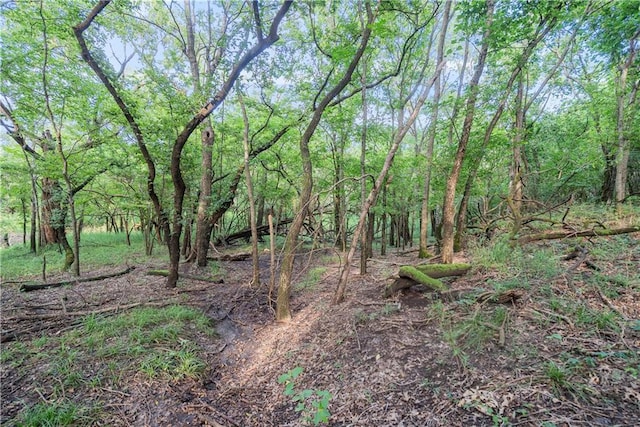 24104 Xavier Rd, Mccune, KS 66753 - photo 84