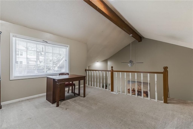9906 Edelweiss Cir, Shawnee, KS 66203 - photo 21